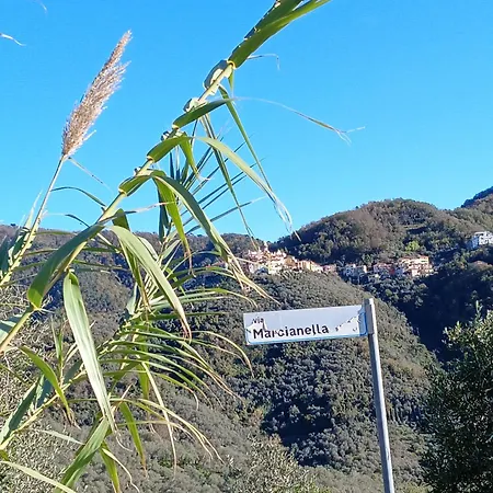 Antico Lavatoio 3* Luni