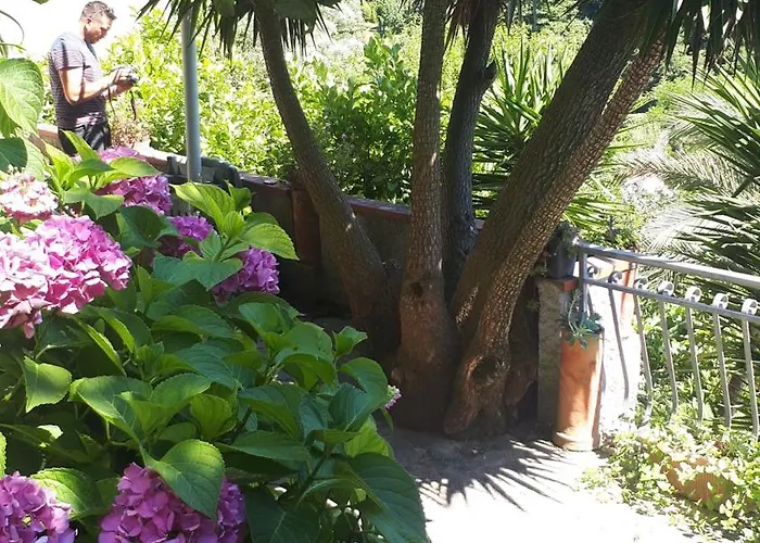 Antico Lavatoio 3* Luni